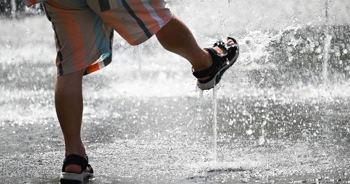 Die Hitze kommt: Temperaturen bis 35 Grad - PZ-news.de - Nachrichten aus Pforzheim und Enzkreis