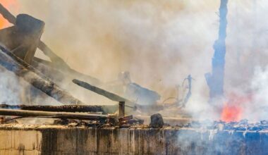Scheune in Keltern durch Brand vollständig zerstört: Pferde konnten gerettet werden - Region