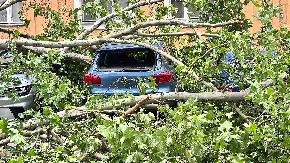Schwerpunkt war in Region Berlin: Unwetter sorgt für Schäden und eine lebensgefährlich Verletzte