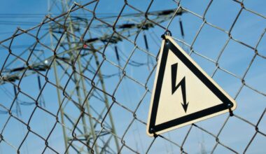 Tier legt Energie in Haushalten lahm