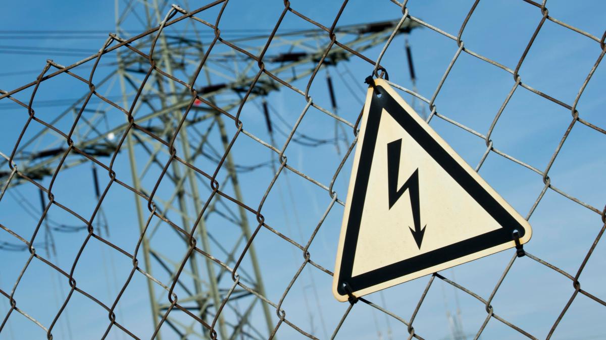 Tier legt Energie in Haushalten lahm