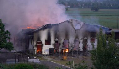 Feuerwehr-Einsatz in Melle: Stall in Flammen! Mindestens sechs Pferde sterben | Regional