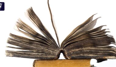 Um welches Werk geht es? Und wer spricht?