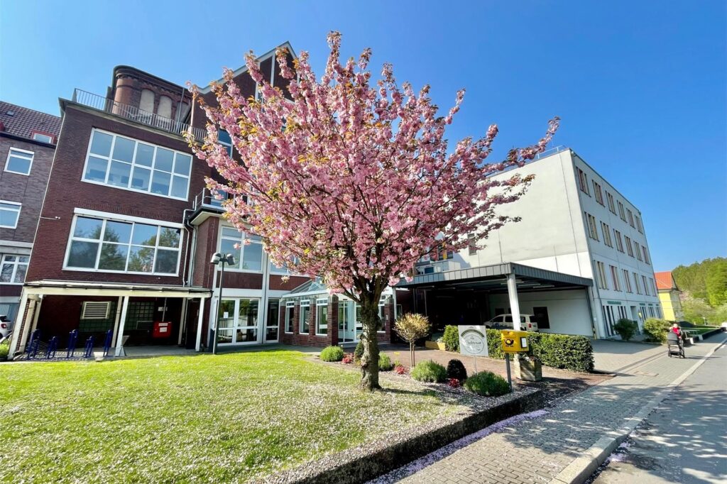 Ein blühender Baum mit rosa Blüten steht vor einem Gebäude mit roter Backsteinfassade und einem weißen Anbau. Die Blütenblätter bedecken teilweise den Rasen und den Gehweg.