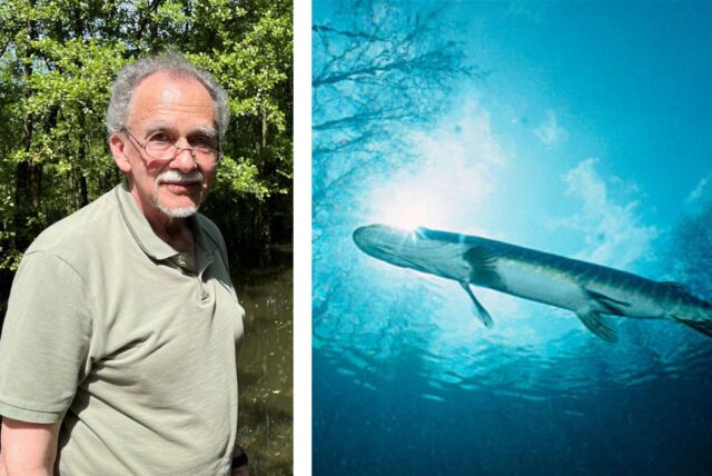 Das Bild zeigt eine Collage aus zwei Aufnahmen. Auf der linken Seite ist ein Mann mit Brille und hellem Hemd vor einem Gewässer und Bäumen zu sehen, während die rechte Seite einen Fisch unter Wasser zeigt.