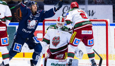 Eishockey: NHL-Routinier soll für Dresden Bumm-Bumm machen | Sport