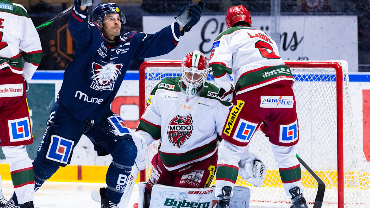 Eishockey: NHL-Routinier soll für Dresden Bumm-Bumm machen | Sport