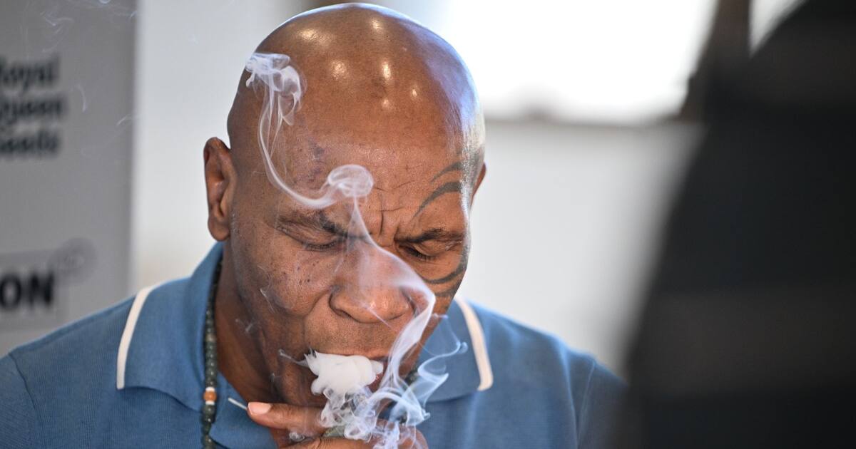 Mike Tyson kifft auf Hanfmesse in Berlin: Auftritt bei „Mary Jane“