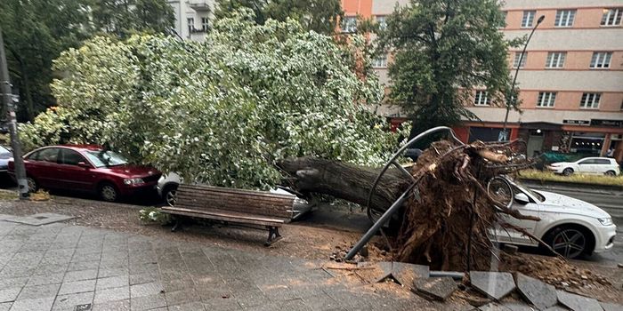 Erneut Unwetter-Chaos in Berlin: Schwerverletzte - Bahnverkehr massiv gestört