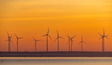 Windenergie in Berlin - Gaebler: Standorte für Windräder sind noch offen - Politik