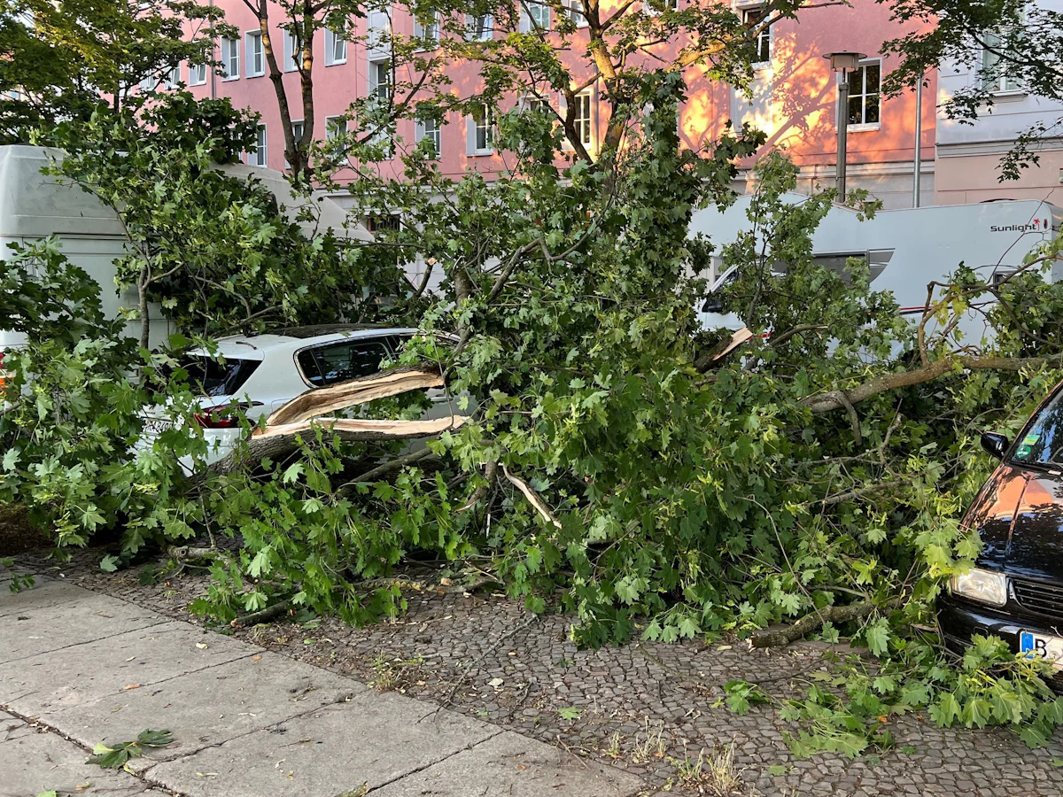 Vorhersage - Wetter in Berlin und Brandenburg: Wolkig und windig - Panorama