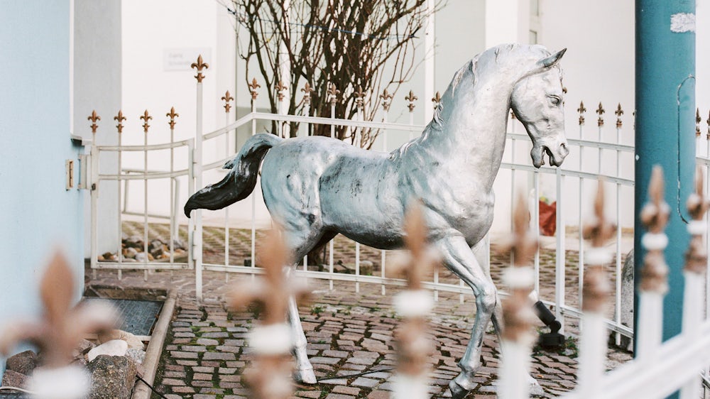 Julia Smirnova: „White Horse and the blue Wall“, 2022, analoge Fotografie, zu sehen in der  Galerie Artoxin.