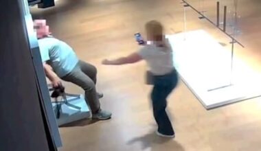 Van Gogh-Stuhl: Besucher zerstören Kunstwerk bei Selfie - BILD