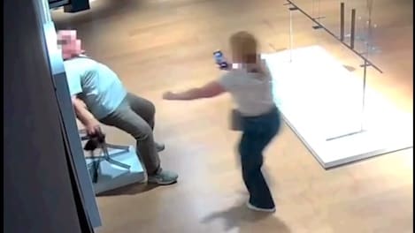 Van Gogh-Stuhl: Besucher zerstören Kunstwerk bei Selfie - BILD