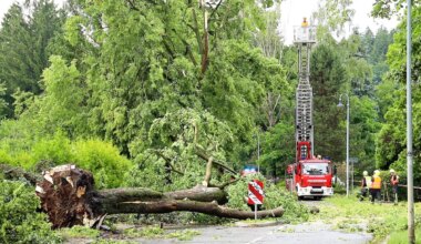 Wetter - Chemnitz: Unwetter macht Bahn- und Straßenverkehr Probleme - Panorama