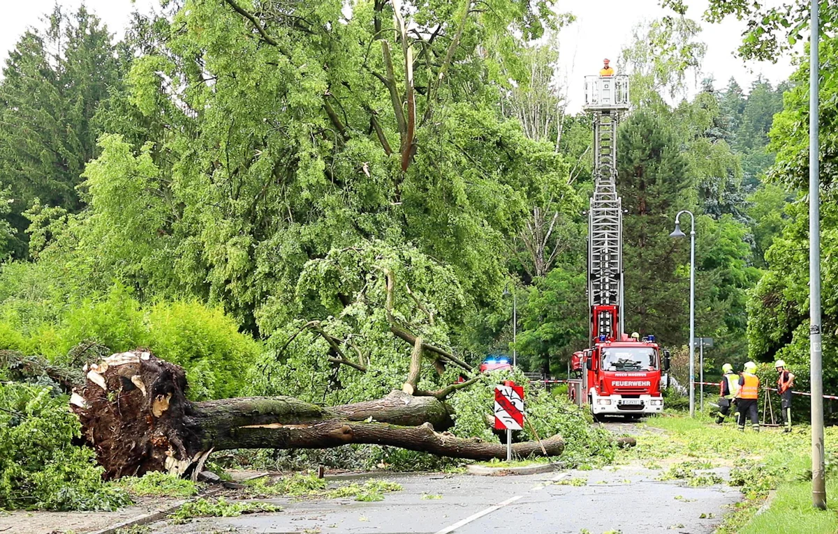 Wetter - Chemnitz: Unwetter macht Bahn- und Straßenverkehr Probleme - Panorama