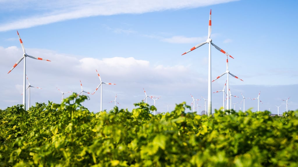Energiewende: Enercity baut 100 neue Windräder