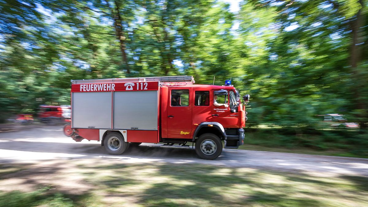 Berlin & Brandenburg: Angespannte Lage für Wälder - Höchste Brandgefahr erwartet