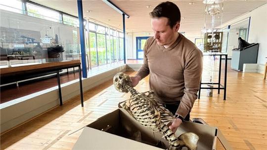 Auf dem Dachboden der Alten Seefahrtschule entdeckt: Dr. Sebastian Ipach bettet das Skelett einer jungen Frau aus dem 19. Jahrhundert im Ausstellungsraum des Hauses der Maritimen Landschaft in einen Karton.