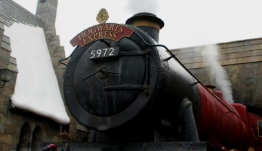 Llama hat sich Hälfte von Harry Potter "gemerkt"