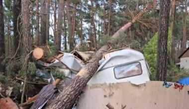 Entwurzelte Bäume in Berlin: Unwetter zerlegt Campingplatz in Sachsen-Anhalt