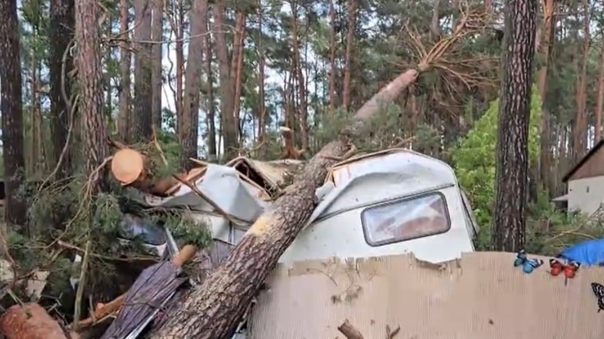 Entwurzelte Bäume in Berlin: Unwetter zerlegt Campingplatz in Sachsen-Anhalt