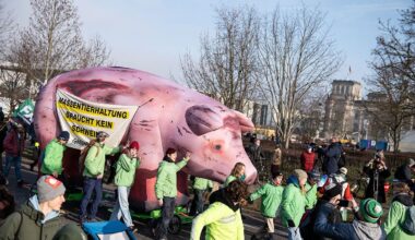 Berlin & Brandenburg: Landwirte öffnen Höfe für Klimaschützer