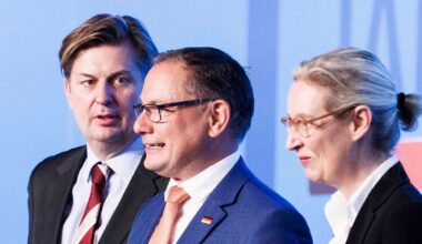 "Remigration", Russland, Iran, Nato, Wehrpflicht: Die fünf Triggerpunkte im Strategiestreit der AfD