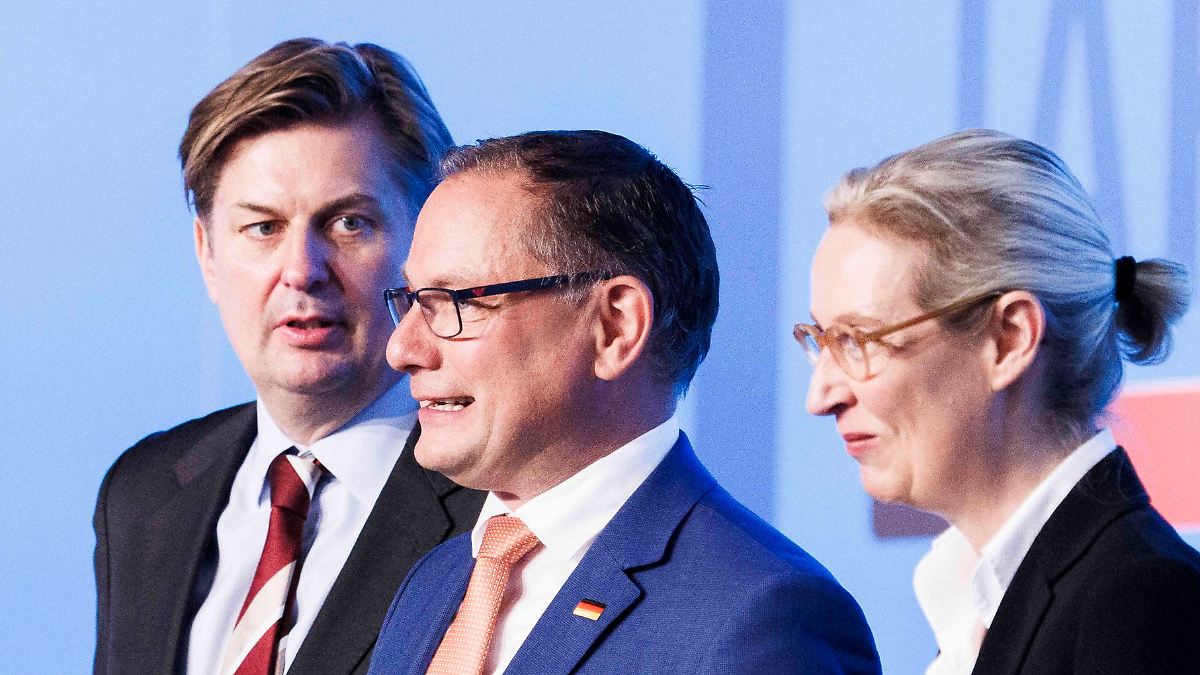 "Remigration", Russland, Iran, Nato, Wehrpflicht: Die fünf Triggerpunkte im Strategiestreit der AfD
