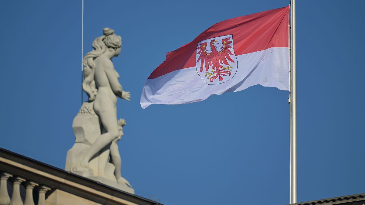 Berlin & Brandenburg: Umfrage: AfD deutlich vor SPD in Brandenburg