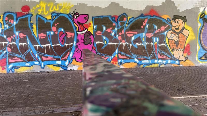 Die Legal Wall beim Skatepark am Bahnhof (unter der Hansebrücke) kann legal besprüht werden.