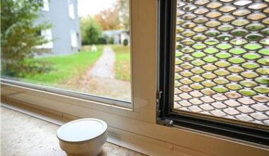 Straftäter flieht aus Landeskrankenhaus in Viersen