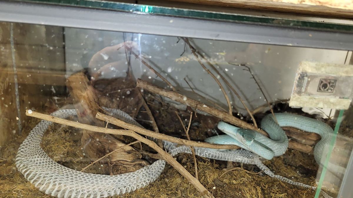 Bayern: Exotische Tiere aus Münchner Wohnung gerettet