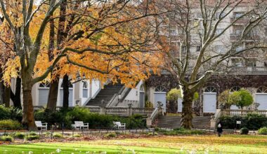 Berlin & Brandenburg: Mann im Körnerpark erstochen: Verdächtiger festgenommen