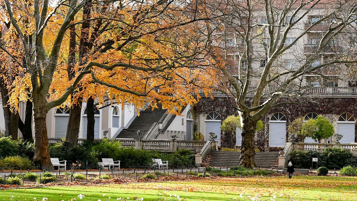 Berlin & Brandenburg: Mann im Körnerpark erstochen: Verdächtiger festgenommen