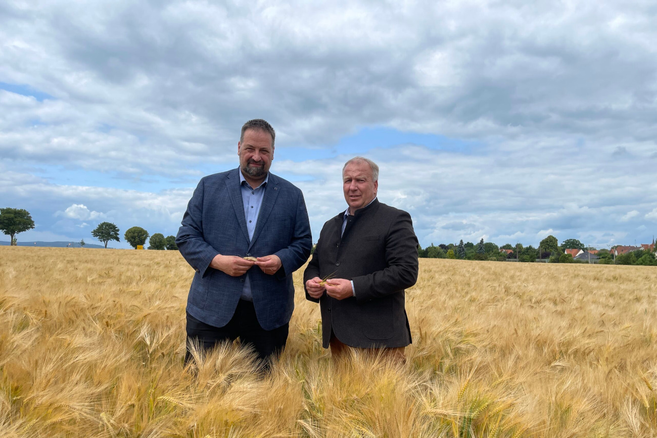 Regen allein reicht nicht – Landesbauernverband fordert Änderung der Düngeverordnung – Ernteschätzung