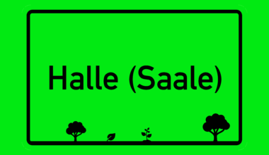 Klimaplattform Halle gewinnt 2. Platz beim Umweltpreis Sachsen-Anhalt 2025