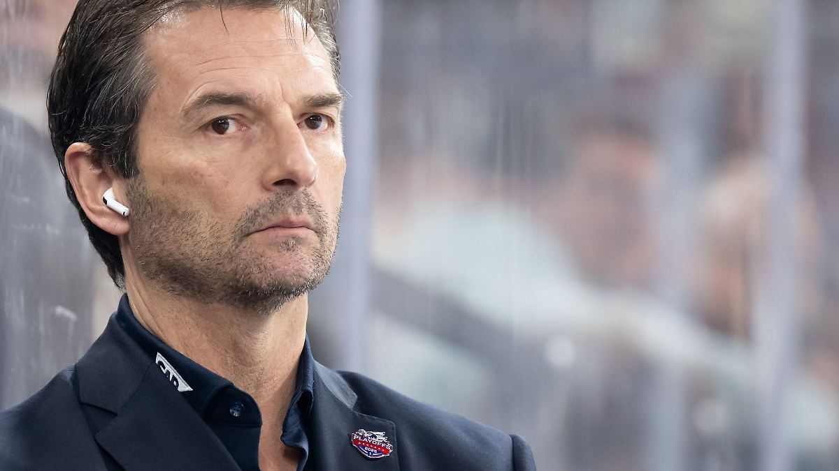 Baden-Württemberg: Adler Mannheim verpflichten kanadischen Verteidiger Renouf