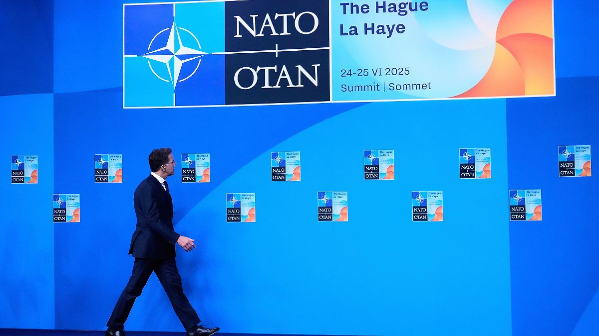 Auftakt des Nato-Gipfels: Deutschland, Frankreich und Großbritannien fordern schärfere Russland-Sanktionen