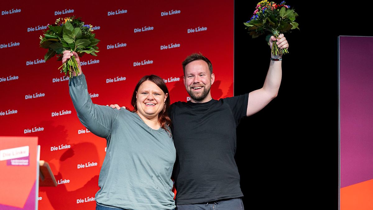 Niedersachsen & Bremen: Linke wählt neuen Landesvorstand und will wieder in Landtag