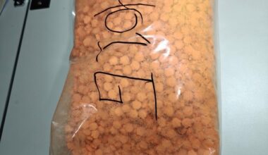 HZA-BI: Bielefelder Zoll zieht zwei Kilogramm Ecstasy aus dem Verkehr/Drogenschmuggler ...