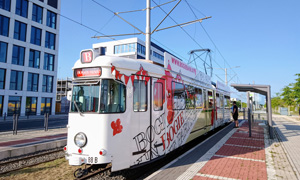 IMG 20250621 185847