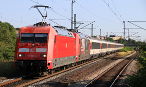 IMG 6550