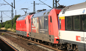 IMG 6554
