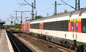 IMG 6555