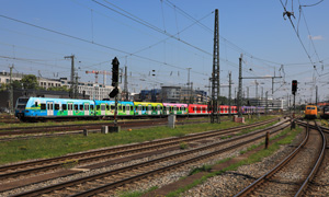 IMG 9294