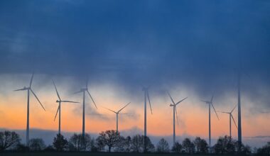 Berlin & Brandenburg: Nabu fordert mehr Windkraft-Standorte außerhalb von Wäldern