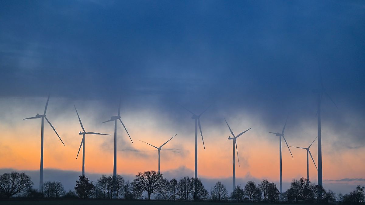 Berlin & Brandenburg: Nabu fordert mehr Windkraft-Standorte außerhalb von Wäldern
