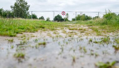 Niedersachsen & Bremen: Alligator-Suche in Vechta geht weiter