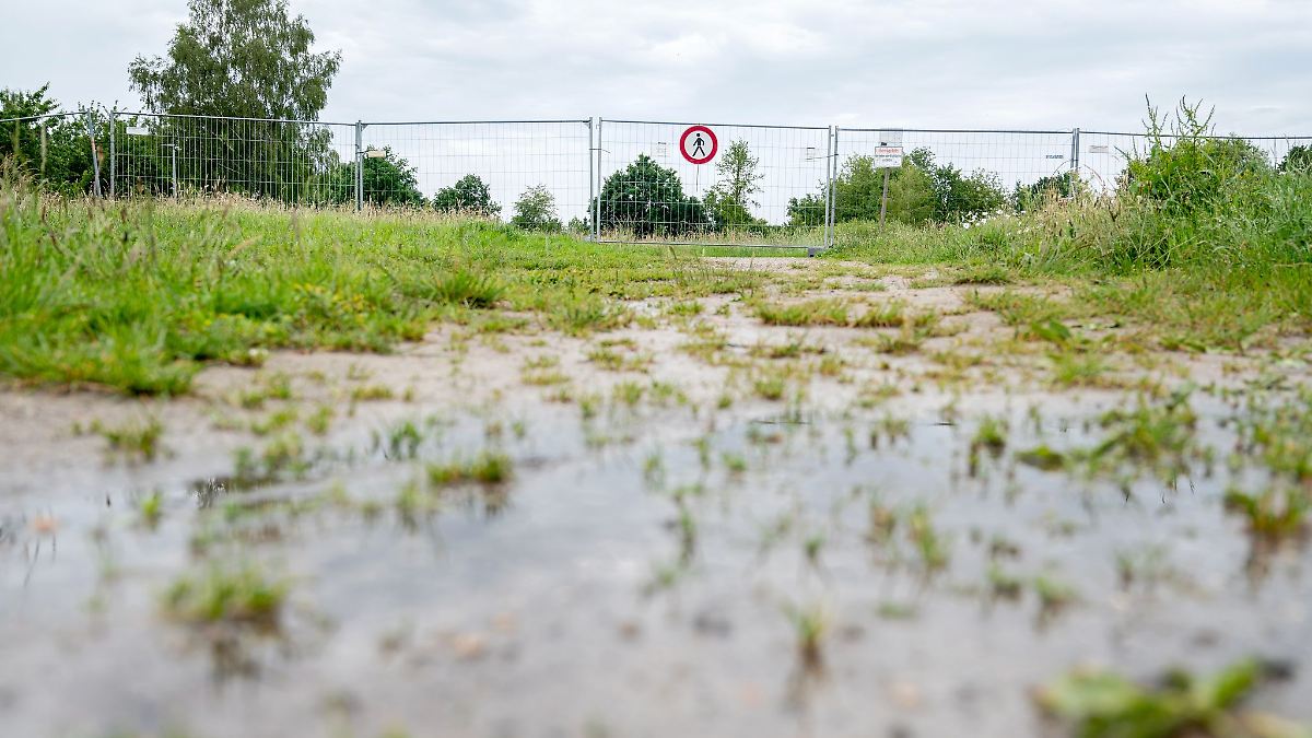 Niedersachsen & Bremen: Alligator-Suche in Vechta geht weiter